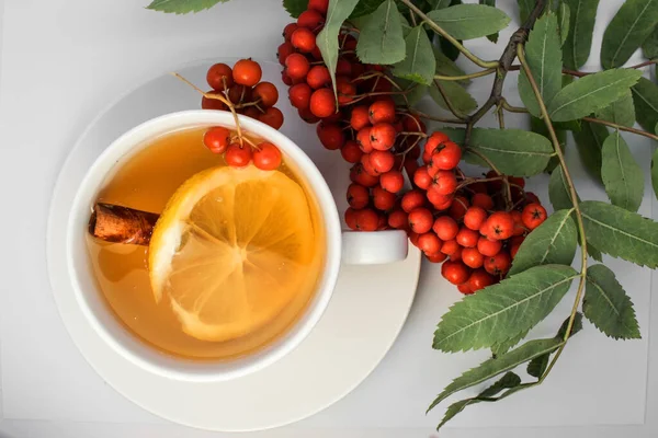 Beyaz arka planda, yanında dağ külünden bir dal bulunan sarı çay bulunan beyaz bir kupa var. Yukarıdan manzara. Kap içinde limon ve tarçın. Virüslere karşı önlem.