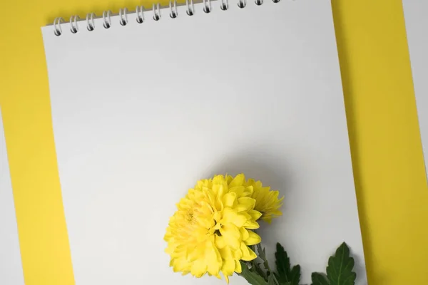 Een Tak Van Een Gele Chrysant Ligt Een Wit Notitieboekje — Stockfoto
