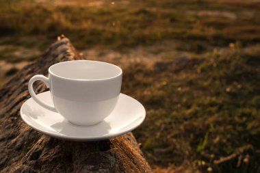 Gün batımında gün batımında boş beyaz bardak, kaba bir taş yüzeyde duruyor.