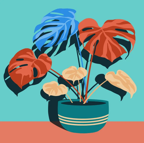Yeşil duvar üzerinde karanlık gölgeler ile tek yeşil tencerede çeşitli houseplants