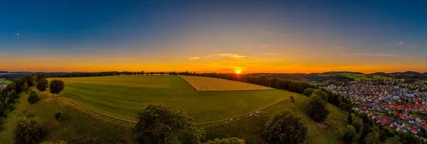 Coucher de soleil panorama d'une vaste ferme avec des vaches au premier plan dans une vue totale, beau paysage photographié par un drone. — Photo