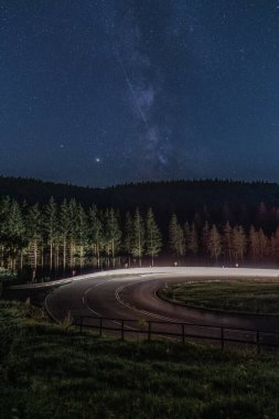 Samanyolunun altındaki leşler, arabaların geçtiği kıvrımlı bir cadde yolun yanındaki ormanı aydınlattı..
