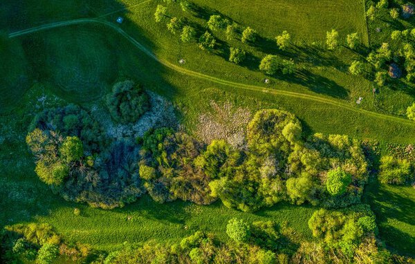 Drone shot at a green countrysided path through grassy meadows, where you can enjoy a healthy walk at the fresh air