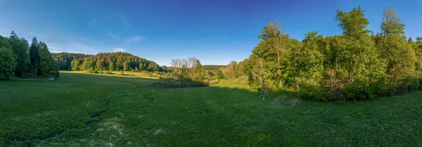 Flygfoto Över Grön Bred Äng Med Träd Och Blå Himmel — Stockfoto