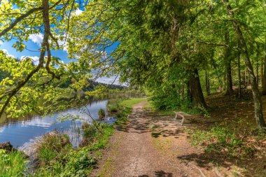 Yaşlı bir çift gölü olan güzel bir parkta yürüyor ve baharda bulutlarla mavi gökyüzünü yansıtıyor...