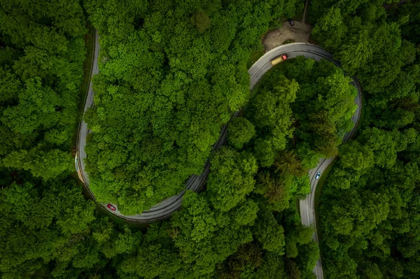 Floresta Verde Maravilhosa Com Uma Estrada Curvilínea Carros Tiro Drone — Fotografia de Stock