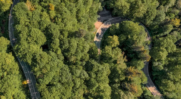 Estrada Curvilínea Através Uma Floresta Verde Primavera Capturada Por Drone — Fotografia de Stock