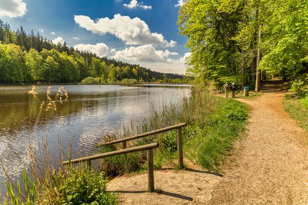 Vista Idílica Lago Con Reflejos Nubes Blancas Cielo Azul Primavera — Foto de Stock