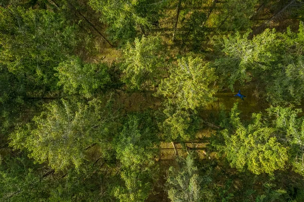 Vertical Drone View Top Green Forest Springtime Birds Eye View — Stock Photo, Image
