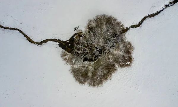 Perspectiva aérea em uma única árvore e um pequeno rio de travessia em uma vista superior de inverno. — Fotografia de Stock