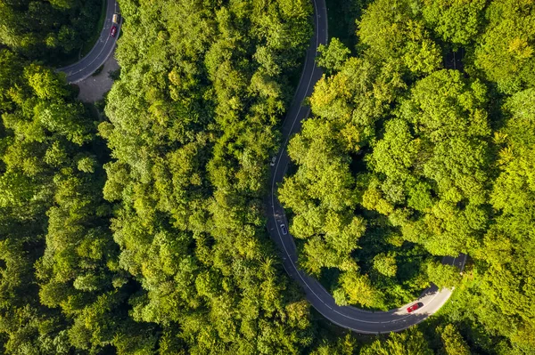 Dirigir Carros Através Uma Estrada Verde Floresta Curvilínea Momento Idílico — Fotografia de Stock