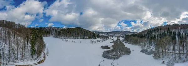 Pano de inverno idílico na alemanha, alb swabian com árvores de floresta nevadas no dia céu azul. — Fotografia de Stock