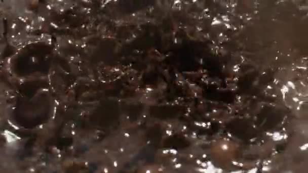 Βροχή Σοκολάτα Tabletop Μακροεντολή Πυροβολισμό — Αρχείο Βίντεο