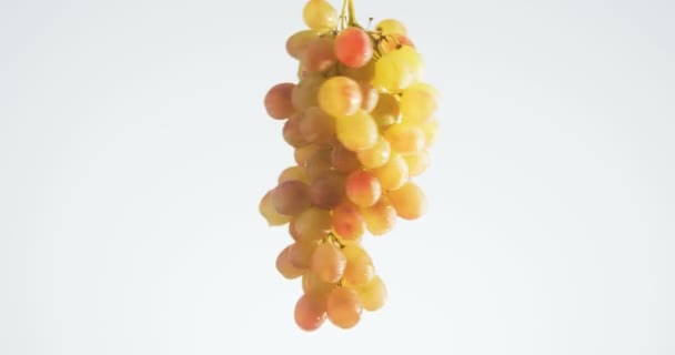 空気中に浮遊白い背景の上分離された回転と回転のブドウ — ストック動画