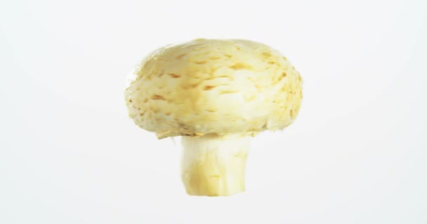 Mushroom Spinning Rotation Isolated White Background Food Suspended Air — Stock Video