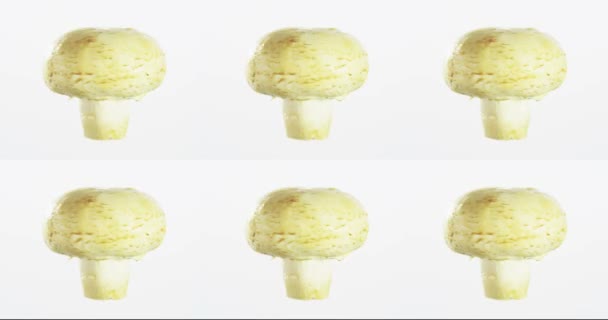 Mushroom Spinning Rotation Isolated White Background Food Suspended Air — Stock Video