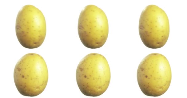 Kartoffeln Drehen Und Drehen Isoliert Auf Weißem Hintergrund Lebensmittel Der — Stockvideo