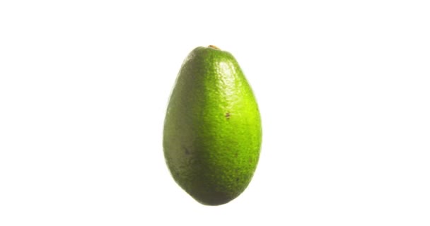 Avocado Filatura Rotante Isolato Sfondo Bianco Sospeso Aria — Video Stock