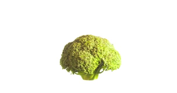 Brokolice Spřádání Otáčení Izolované Bílém Pozadí Které Jsou Rozptýlené Vzduchu — Stock video