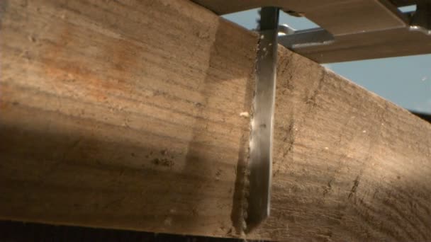 Jigsaw Cutting Wood Plank Macro Shot 1000 Fps — Stock Video