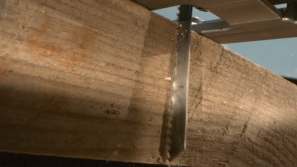 Scie sauteuse Coupe à travers une planche de bois Macro tir à 1000 ips 
