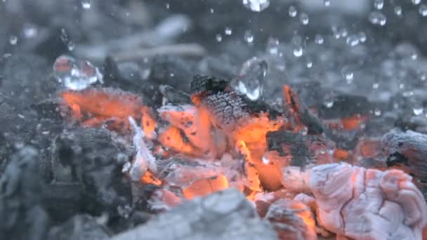 1000 Fps でスローモーションで水滴と煙消火炎で燃える石炭の火のマクロショットを出す — ストック動画