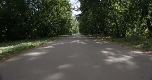 Route forestière en conduisant dans une fenêtre avant de voiture 