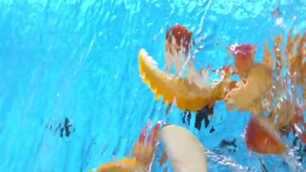 Frukter Persika Skivor Orange Svart Vinbär Äpple Stänk Vatten Hälla — Stockvideo