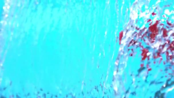 番茄飞溅到水浇灌在慢动作拍摄在1500 Fps — 图库视频影像