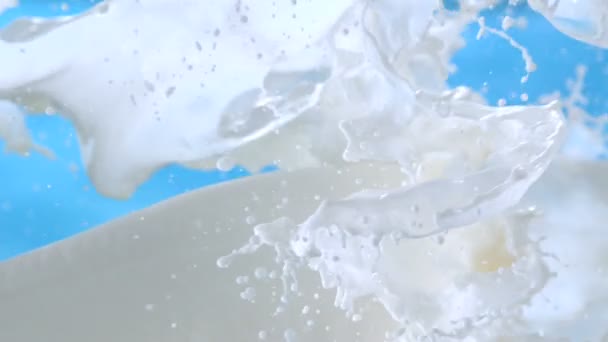 Milch Platzt Strömt Und Spritzt Der Luft Auf Blauem Hintergrund — Stockvideo