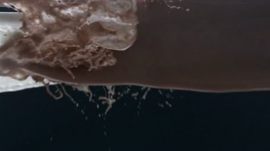 Çikolata ve Süt Sıçraması Yavaş Harekette Havada Birlikte Karıştırma Siyah Arka Plan üzerinde 1500 fps atış