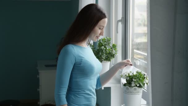 Plantas Riego Retrato Una Mujer Pie Ventana Sonriente — Vídeos de Stock