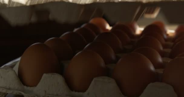 Opening Egg Crate Table Kitchen Sun Shining Shot Red Camera — Stock Video