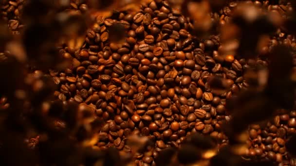 Kreis Der Kaffeebohnen Fällt Sich Zusammen — Stockvideo