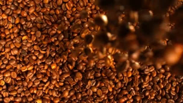 Flow Coffee Beans Falling Pile — Stock Video