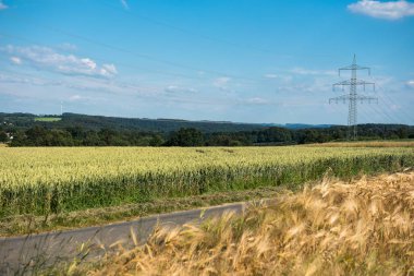 Tahıl alanları ve doğada aydınlık havalarda güç hattı