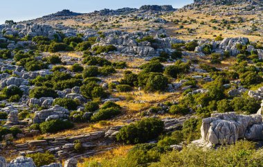 Kayalar, dağlar, erozyon, karst ile ulusal doğal rezerv arazisi Sierra del Torcal, Endülüs, Antequera, İspanya