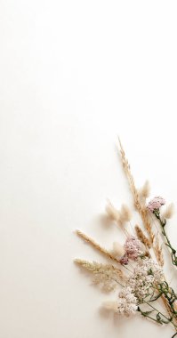 Beyaz arkaplanda izole edilmiş yaz çayır çimen bileşimi, düz uzanma, üst görünüm.