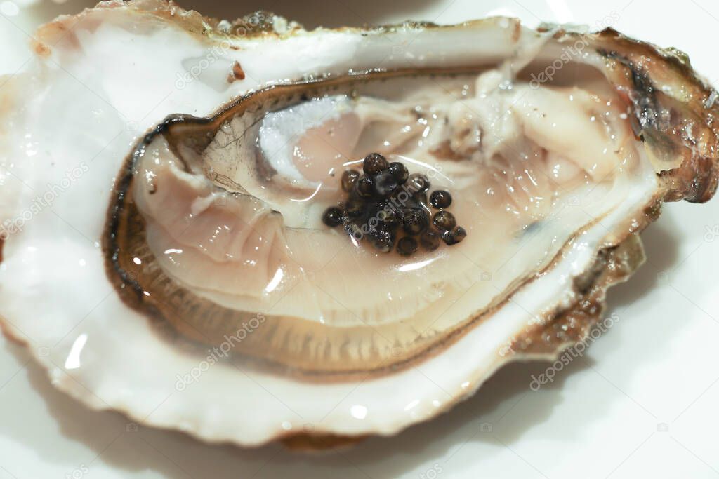 Gourmet dish, delicious black sturgeon caviar with oyster on the white plate