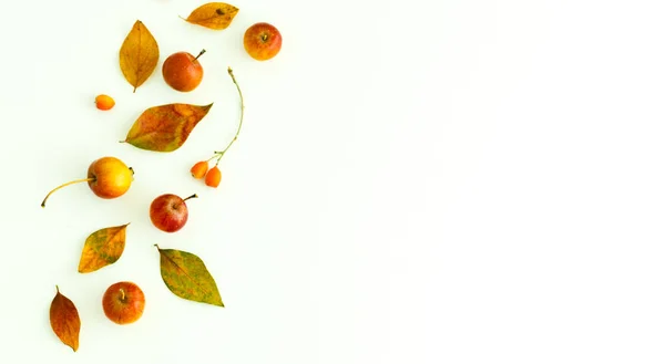 Autumn composition made of yellow and red leaves, fruits and berries on the white background. Autumn concept. Flat lay, copy space