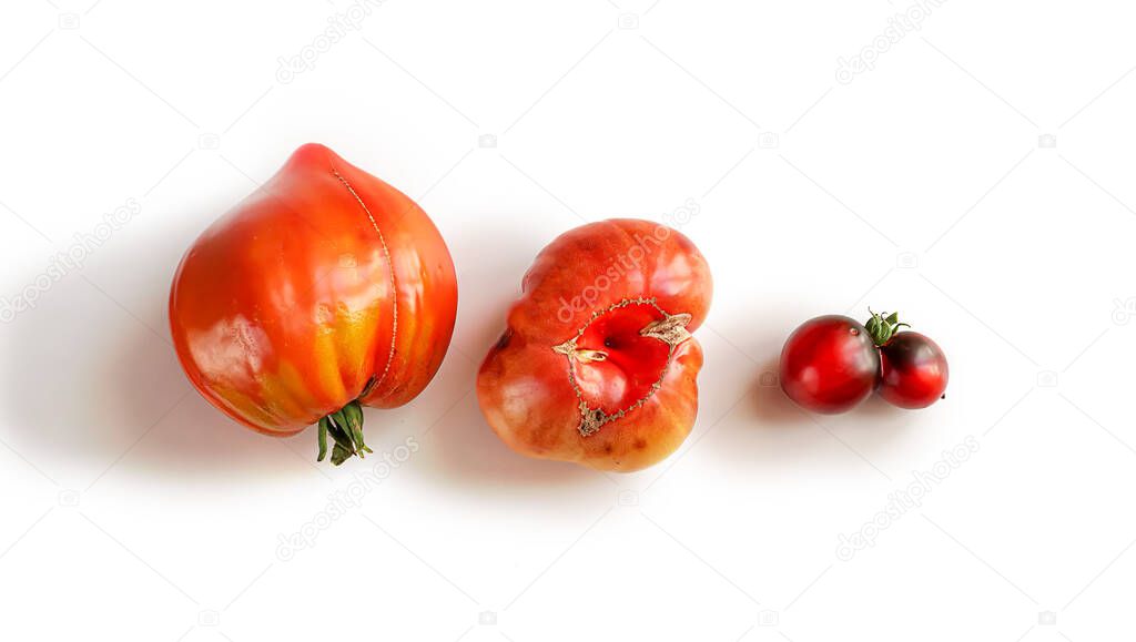 Ugly organic tomatoes on the white background. Food waste concept