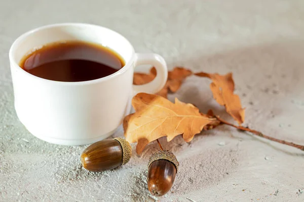 灰色の背景にアコーンコーヒーのカップ 伝統的なコーヒーの代わりに コーヒー風味とカフェインのない健康的な自家製の環境に優しいホットドリンク 健康コンセプト — ストック写真
