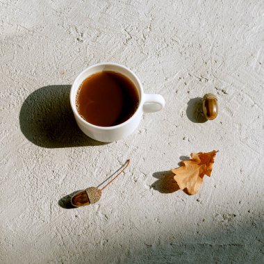 Gri arka planda bir bardak meşe palamudu kahvesi. Şatafatlı kahvenin yerine, ev yapımı, kahve aromalı sıcak, sağlıklı bir içecek. Sağlık ve kafein yok. Düz yatıyordu