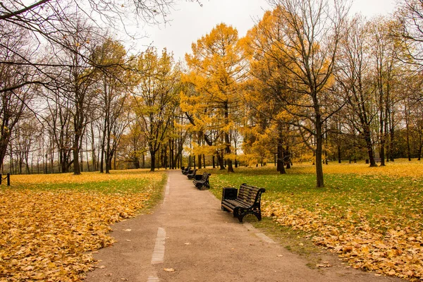 Kolomenskoye parkında sonbahar manzarası, Moskova, Rusya