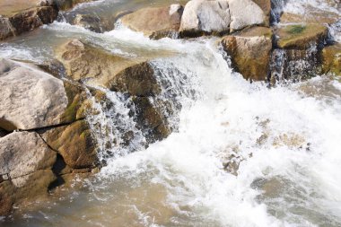Batı Ukrayna, Karpatlar 'daki dağ deresi. Taşlar ve rapi.