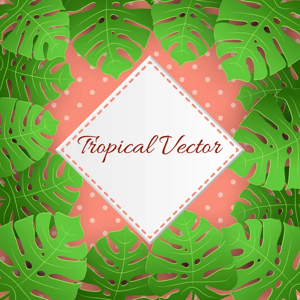 Illustration Vectorielle Tropicale Avec Feuilles Palmier Sur Fond Corail Bannière — Image vectorielle