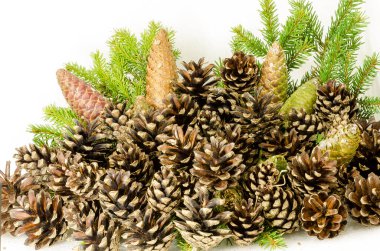 Mevsimin mevsimsel ikliminde Noel ve sonbahara karakter katan bir kompozisyon ve beyaz arka plandaki orman bitkilerinden oluşan gelecek dünyaya atıfta bulunuyor.