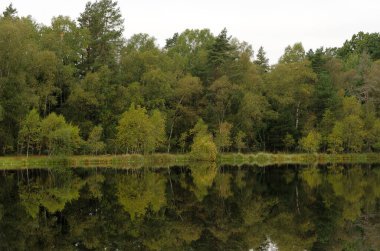 Lene Gölü, Pomeranya Voyvoda 'sı, Polonya, küçük bir göletin etrafındaki ormanın sonbahar renkleri