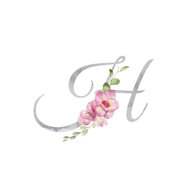 Watercolor letter H decorated with handpainted pink freesia and — Stock Photo, Image