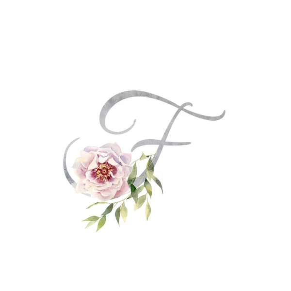 Aquarel letter F versierd met handbeschilderd roze romige Peony Rechtenvrije Stockfoto's